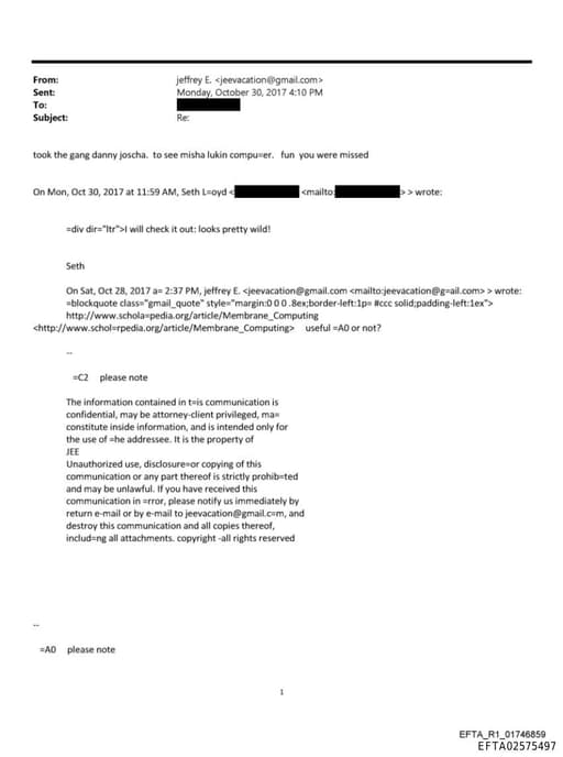 Preview of EFTA02575497