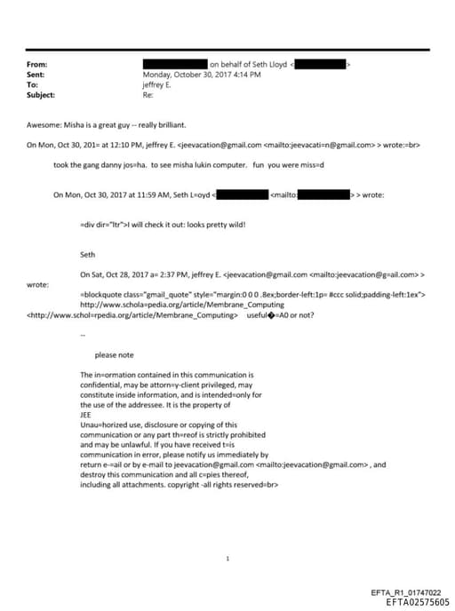 Preview of EFTA02575605