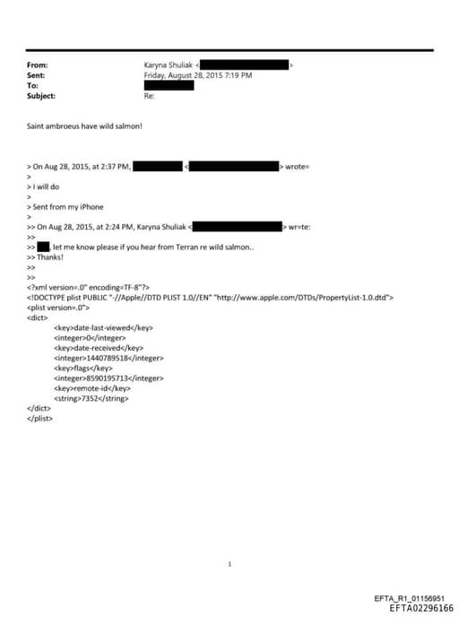 Preview of EFTA02296166