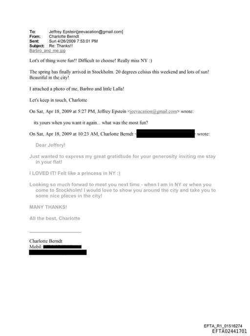 Preview of EFTA02441701