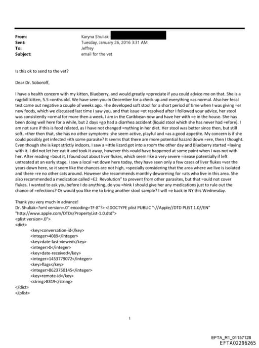 Preview of EFTA02296265