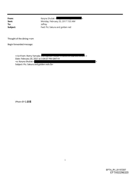 Preview of EFTA02296320