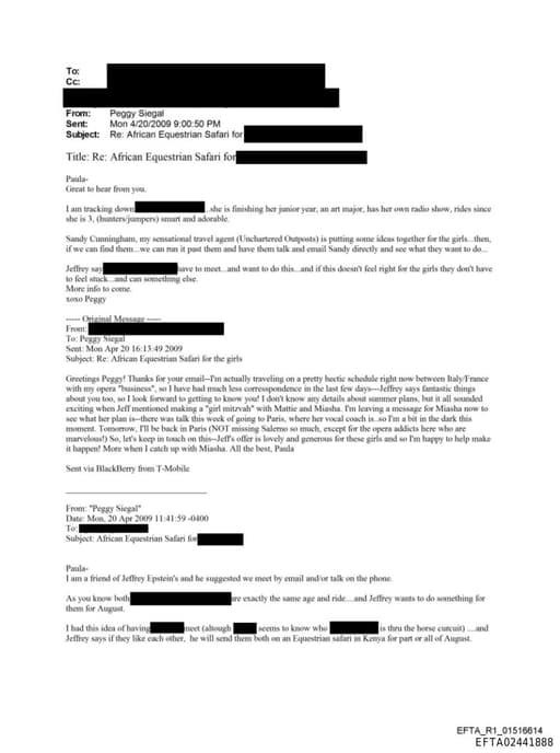 Preview of EFTA02441888