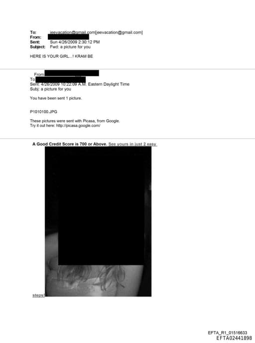 Preview of EFTA02441898