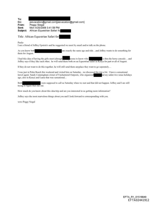 Preview of EFTA02441912