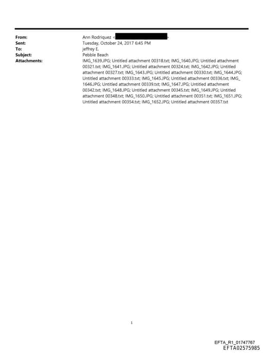 Preview of EFTA02575985