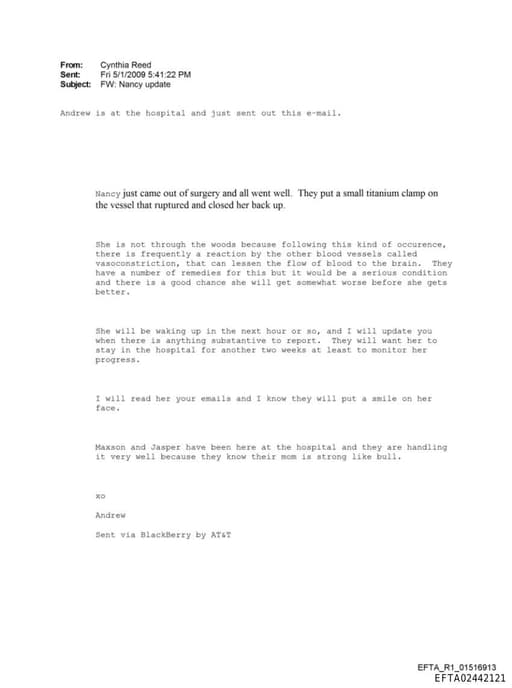 Preview of EFTA02442121