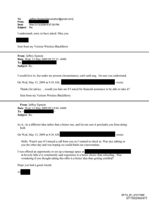 Preview of EFTA02442477