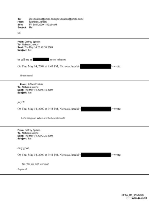 Preview of EFTA02442601