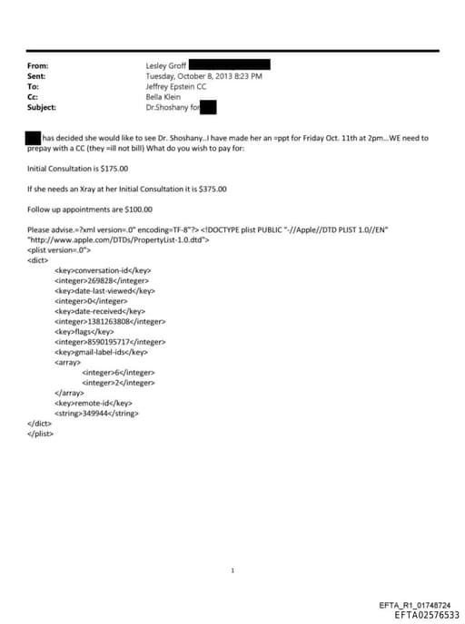 Preview of EFTA02576533