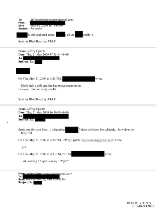 Preview of EFTA02442800