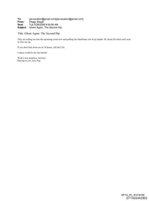 Preview of EFTA02442903