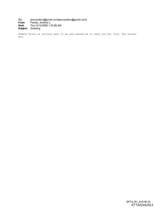 Preview of EFTA02442913