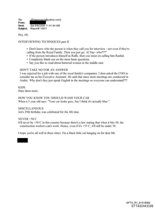 Preview of EFTA02443108