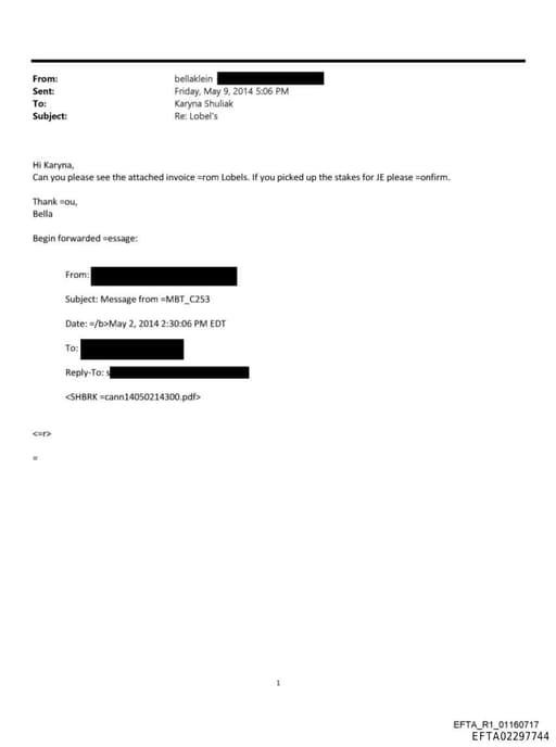 Preview of EFTA02297744