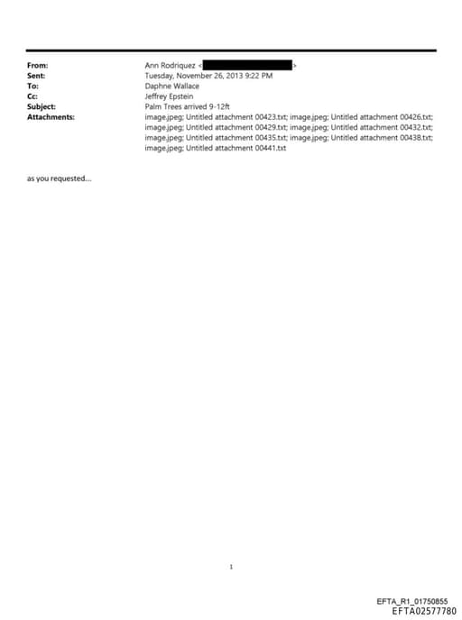 Preview of EFTA02577780