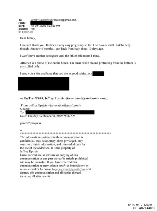 Preview of EFTA02444056