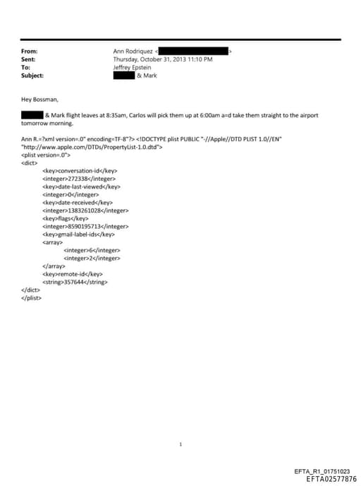 Preview of EFTA02577876