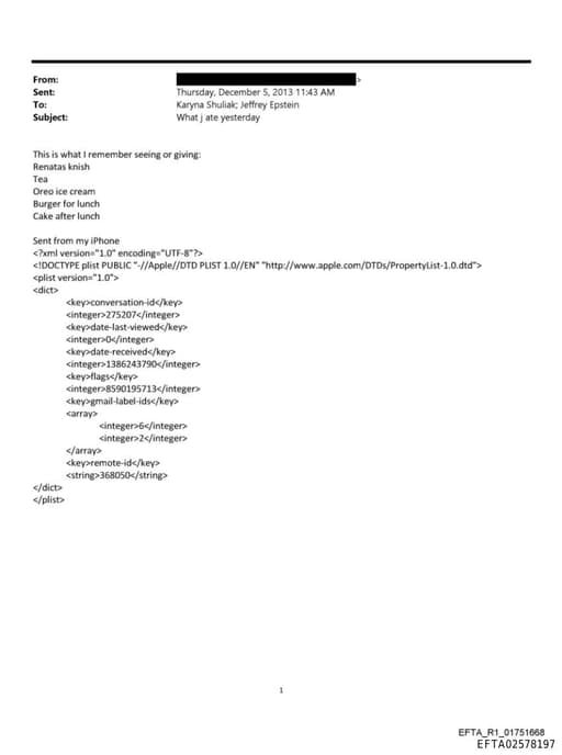 Preview of EFTA02578197