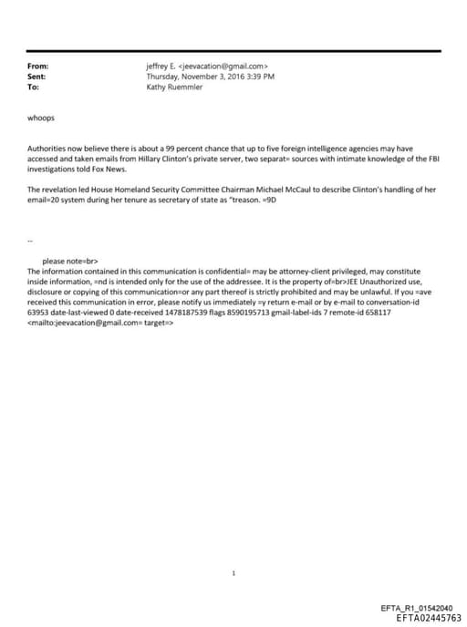 Preview of EFTA02445763