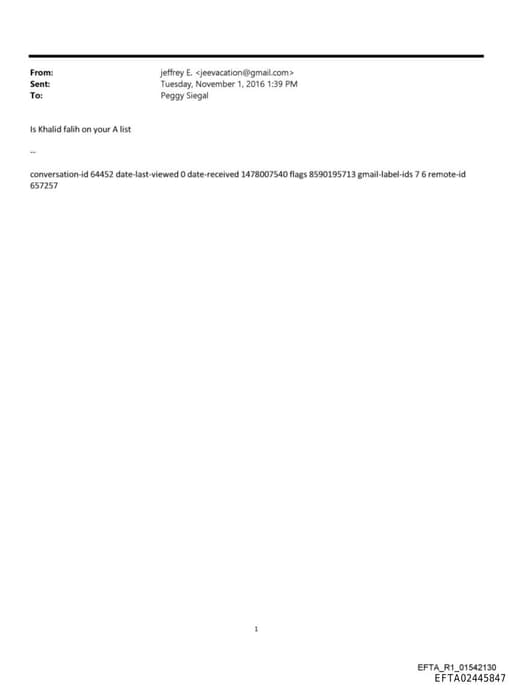 Preview of EFTA02445847