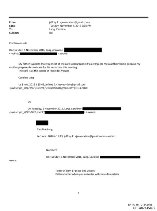 Preview of EFTA02445895