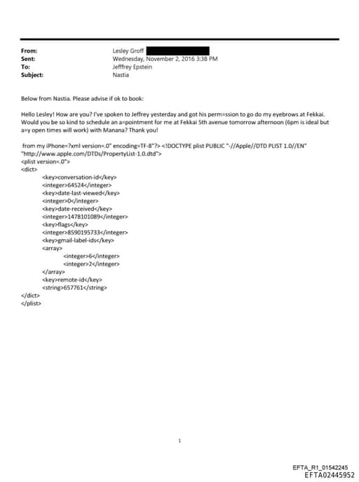 Preview of EFTA02445952