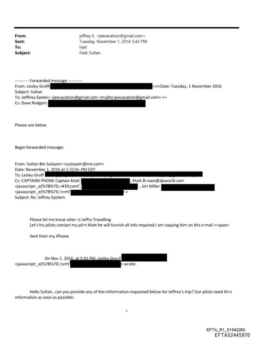 Preview of EFTA02445970