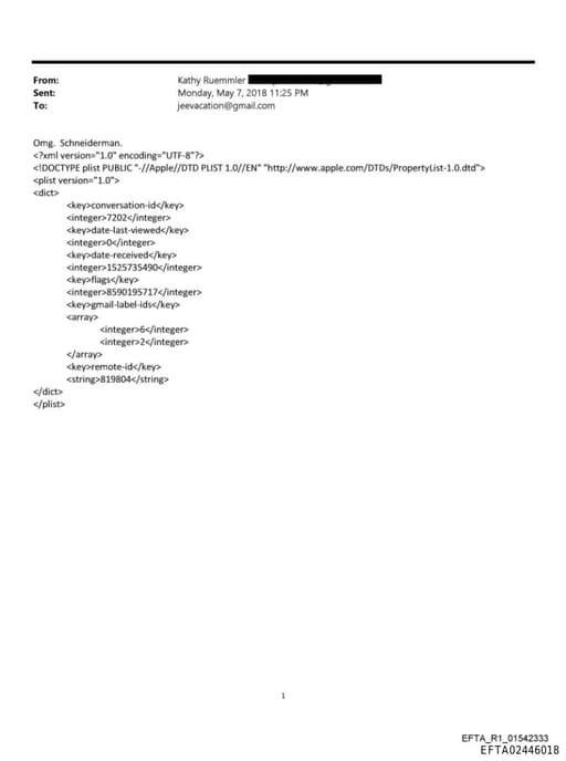 Preview of EFTA02446018