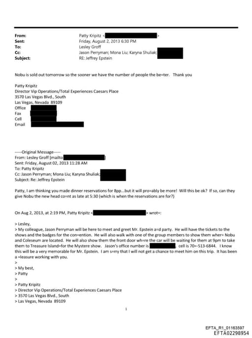 Preview of EFTA02298954