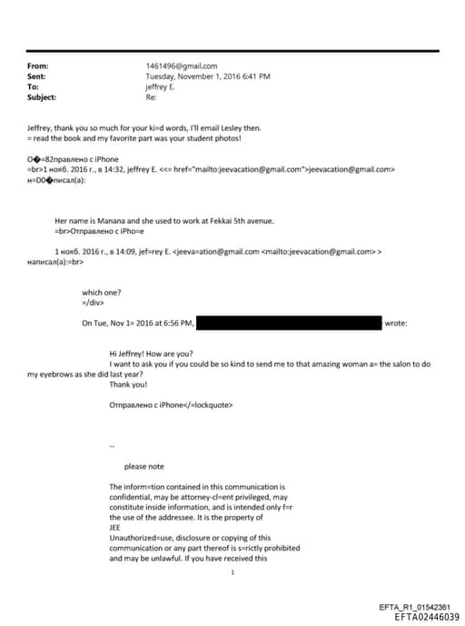 Preview of EFTA02446039