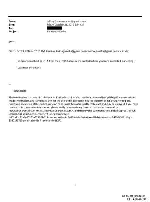 Preview of EFTA02446080