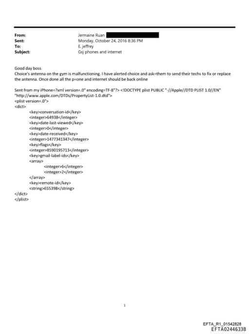 Preview of EFTA02446338