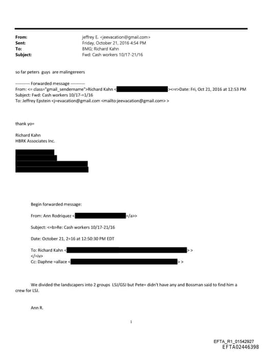 Preview of EFTA02446398