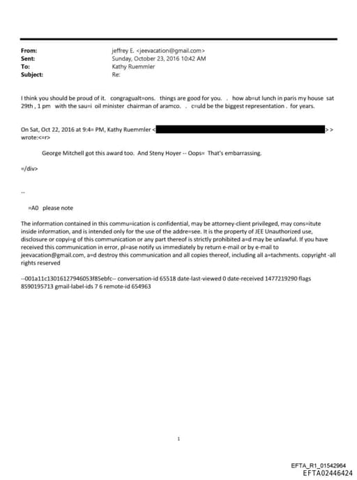 Preview of EFTA02446424