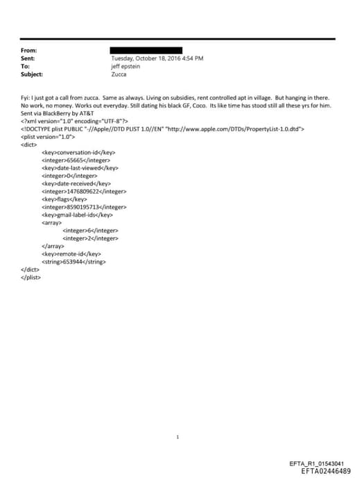 Preview of EFTA02446489