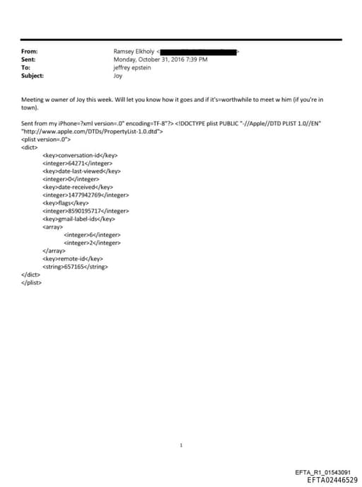 Preview of EFTA02446529