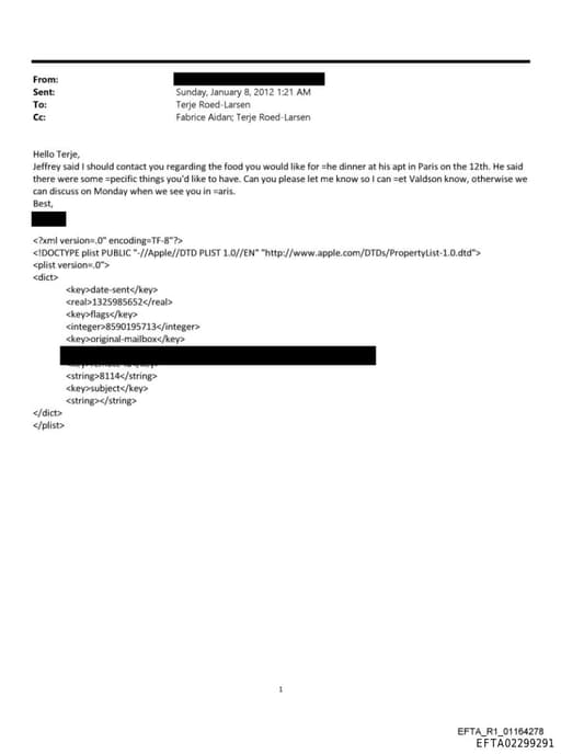 Preview of EFTA02299291