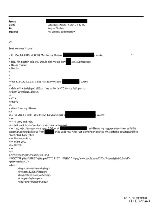 Preview of EFTA02299421