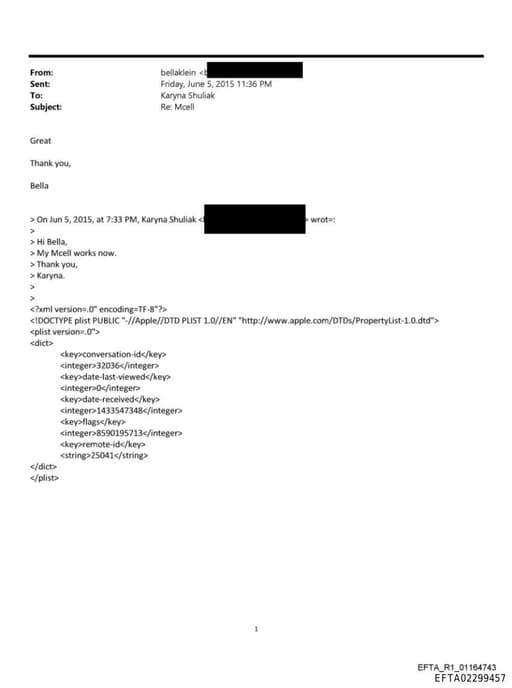 Preview of EFTA02299457