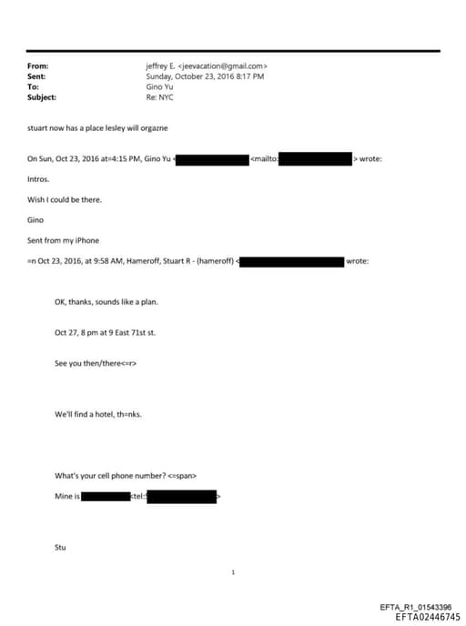 Preview of EFTA02446745