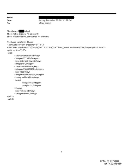 Preview of EFTA02579060