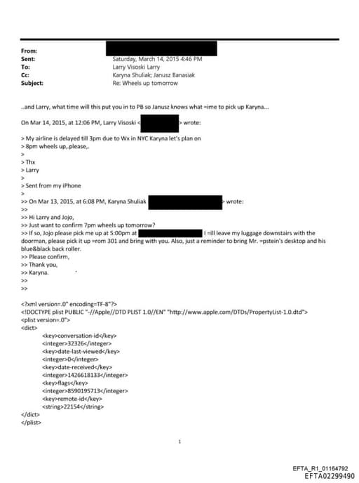 Preview of EFTA02299490