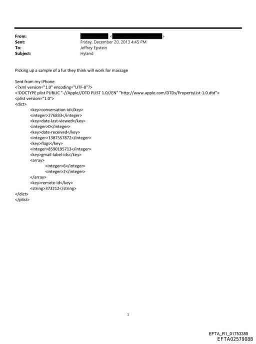 Preview of EFTA02579088