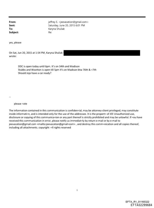 Preview of EFTA02299684