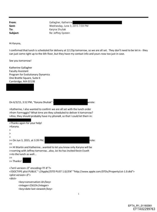 Preview of EFTA02299763