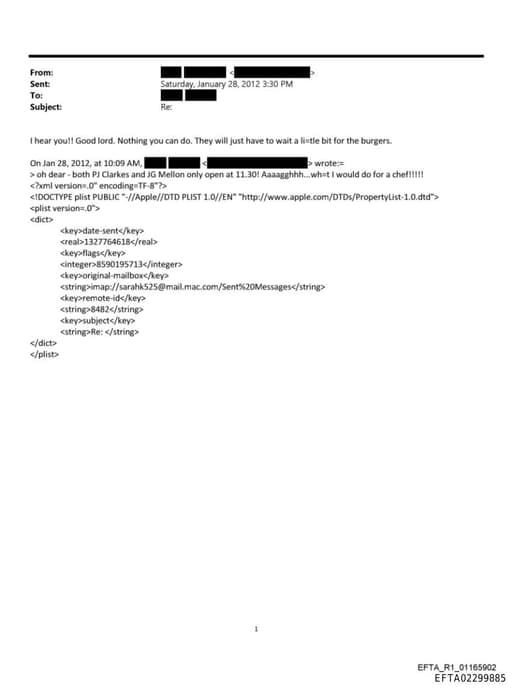 Preview of EFTA02299885