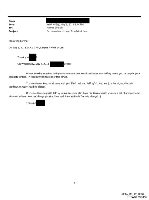 Preview of EFTA02299892