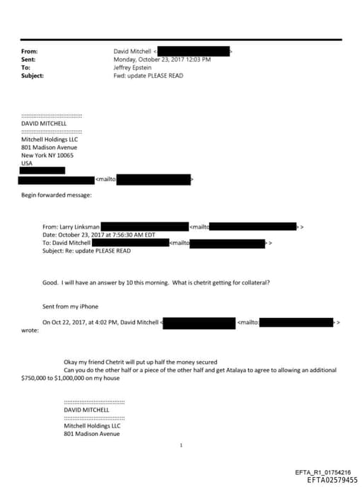 Preview of EFTA02579455