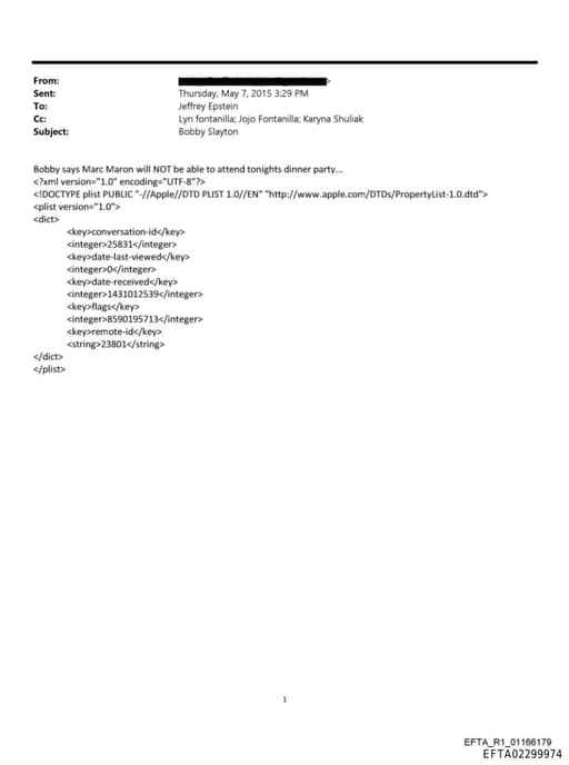 Preview of EFTA02299974